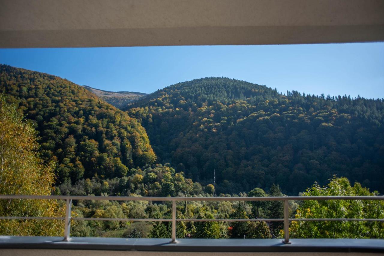 Blue Forest Studio Sinaia Bagian luar foto