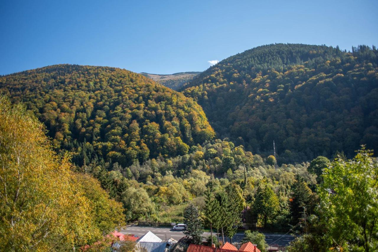 Blue Forest Studio Sinaia Bagian luar foto