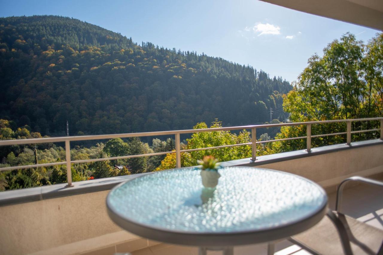 Blue Forest Studio Sinaia Bagian luar foto
